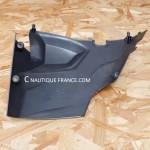 F20 F25 CALANDRA 20 - 25 CV 4T YAMAHA 6FM 42771