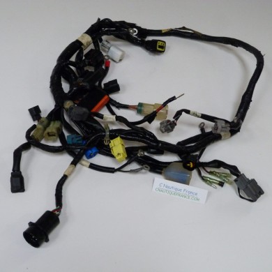 F25 FAISCEAU ELECTRIQUE 25 CV 4T YAMAHA 6FM