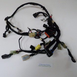 F25 WIRING HARNESS 25 HP 4S YAMAHA 6FM