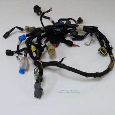 F25 FAISCEAU ELECTRIQUE 25 CV 4T YAMAHA 6FM