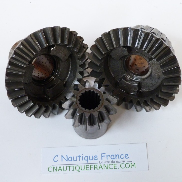 50 CV 2T SET PIGNONS SELVA BULL SHARK