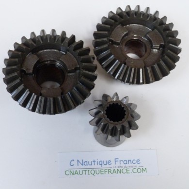 50 CV 2T SET PIGNONS SELVA BULL SHARK