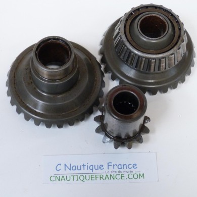 50 CV 2T SET PIGNONS SELVA BULL SHARK