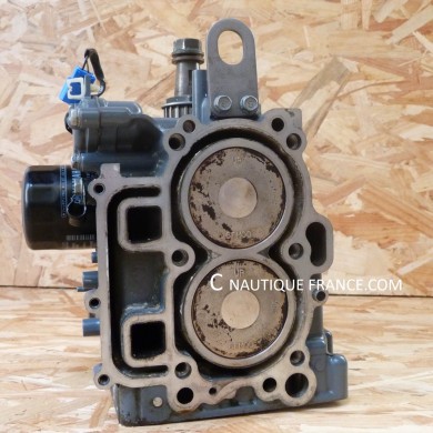 BLOCCO MOTORE 25 CV YAMAHA 6FM F25 FUORIBORDO