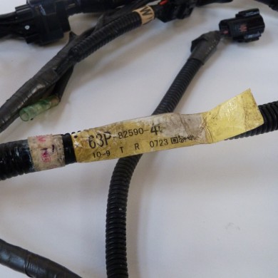 F150 CABLAGGIO ELETTRICO 150 CV 4T YAMAHA 63P