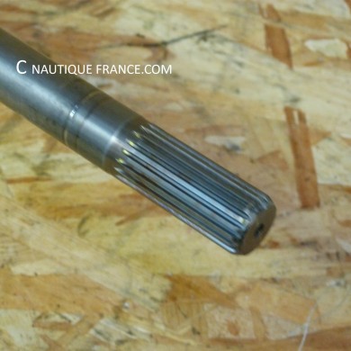 F150 PIEDE DI MOTORE 150 CV 4T YAMAHA 63P