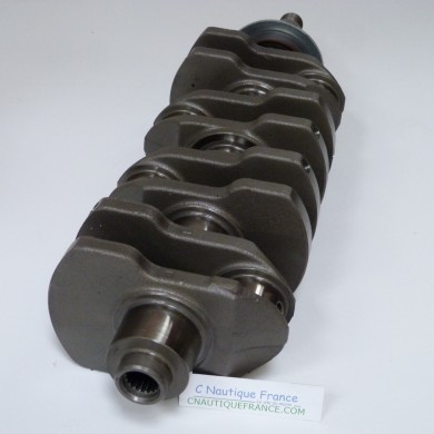 Albero a gomiti 115 cv 4t Yamaha F115