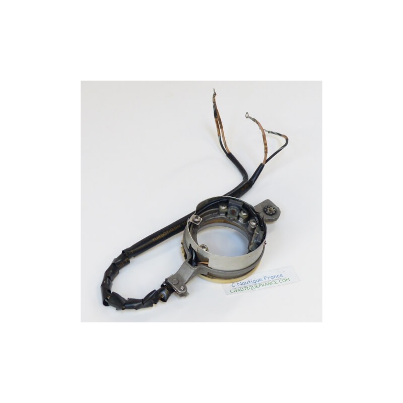 85 - 140 CV TRIGGER EVINRUDE JOHNSON 581300