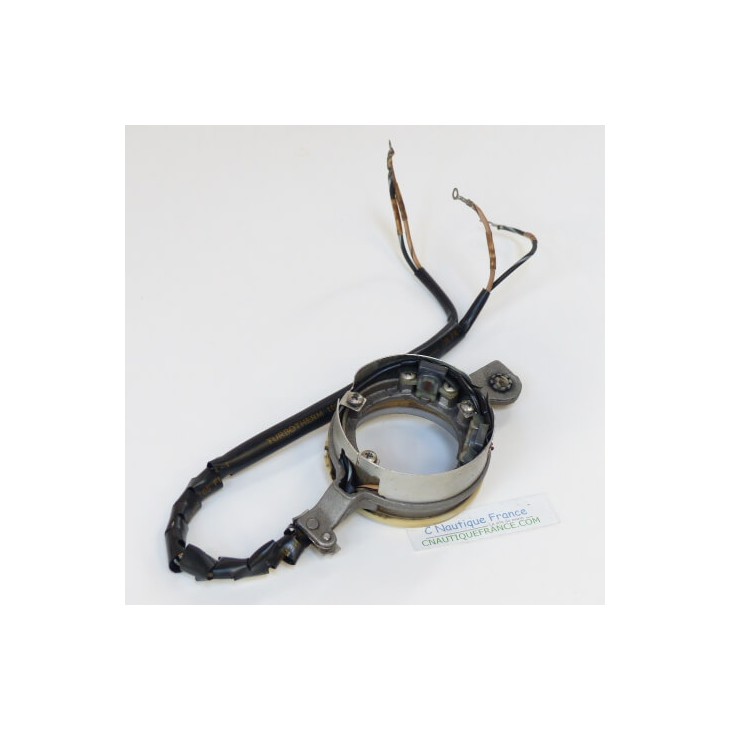 85 - 140 CV TRIGGER BOBINA EVINRUDE JOHNSON 581300