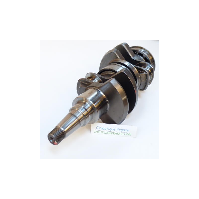 ALBERO A GOMITI 40 - 50 CV 2T EVINRUDE E-TEC