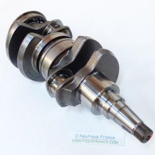 ALBERO A GOMITI 40 - 50 CV 2T EVINRUDE E-TEC