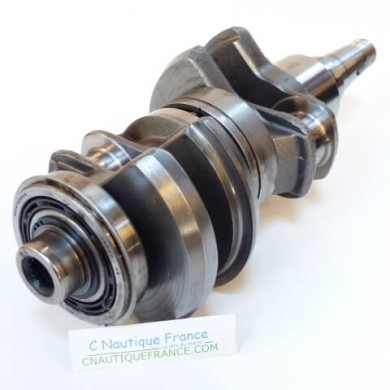 ALBERO A GOMITI 40 - 50 CV 2T EVINRUDE E-TEC