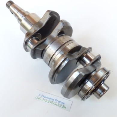 ALBERO A GOMITI 40 - 50 CV 2T EVINRUDE E-TEC