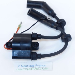 25 - 60 CV BOBINE MERCURY MARINER YAMAHA 859738T1