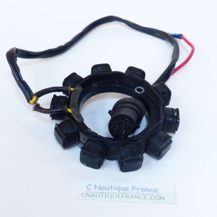 50 HP 2S STATOR SELVA BULL SHARK LPDFI