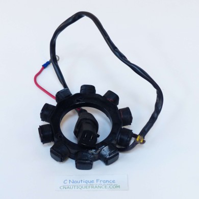 50 CV 2T STATOR SELVA BULL SHARK LPDFI