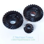 BF8D BF10D KIT PIGNONS 8 - 10 CV 4T HONDA ZW8 ZW9