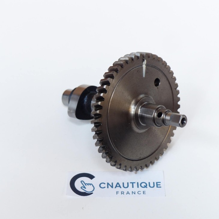 DF4 DF6 - ALBERO CAMES 4 - 6 CV 4T SUZUKI 91J
