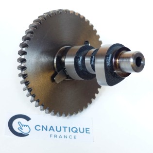 DF4 DF6 - ALBERO CAMES 4 - 6 CV 4T SUZUKI 91J
