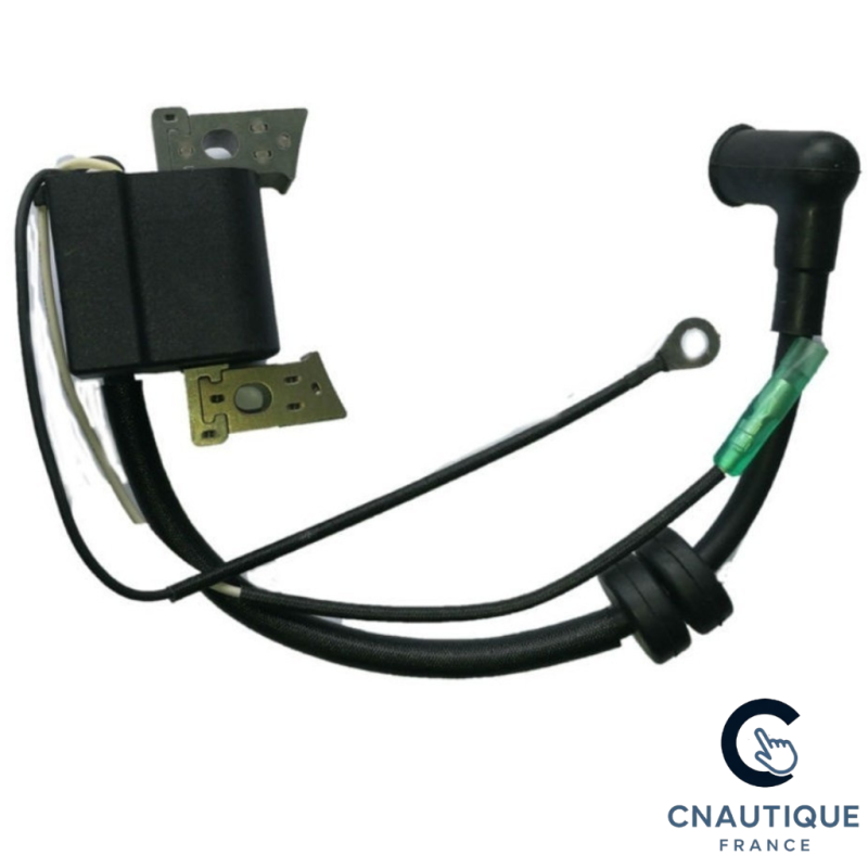 BOBINE CDI PER F4 F5 F6 PARSUN YAMAHA MOTORE FUORIBORDO