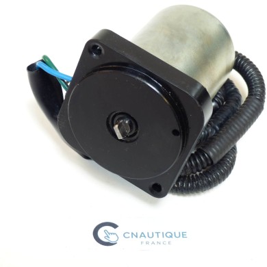 DF25 DF30 MOTORE TRIM 25 - 30 HP 4S SUZUKI 89J