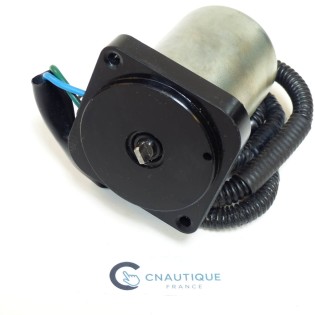 DF25 DF30 MOTOR TRIM 25 - 30 HP 4S SUZUKI 89J