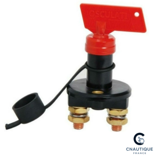 COUPE BATTERIE 100 A
