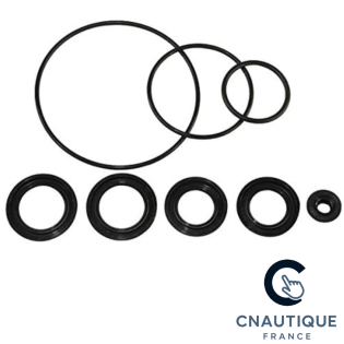 DF300 KIT JOINTS POUR 300 CV 4T SUZUKI