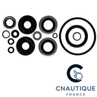 9.9 - 15 HP SEAL KIT LOWER UNIT FOR JOHNSON EVINRUDE