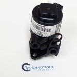 INJECTEUR 90 - 115 CV EVINRUDE FICHT RAM HORS-BORD 5000583