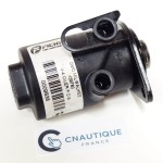 INJECTEUR 90 - 115 CV EVINRUDE FICHT RAM HORS-BORD 5000583
