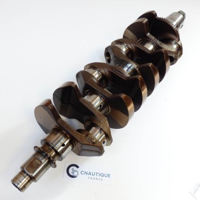 135 - 150 CV 4T L4 EFI VILEBREQUIN MERCURY