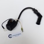 BOBINE ALLUMAGE 25 - 30 CV SUZUKI EVINRUDE JOHNSON 89J DF25 DF30