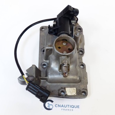 15 - 30 CV 2T CARTER ET PAPILLON D'ADMISSION EVINRUDE E-TEC 5007345