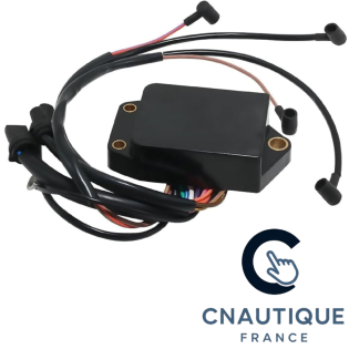 88 - 115 CV CENTRALINA PER JOHNSON EVINRUDE 113-4028
