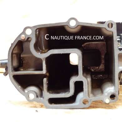 DF9.9 DF20 FOURREAU 9.9 - 20 CV SUZUKI 89L - COURT