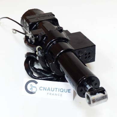 DF9.9 - DF20 TRIM MOTORE 9.9 - 20 CV SUZUKI 89L