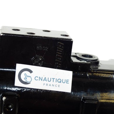 DF9.9 - DF20 TRIM MOTORE 9.9 - 20 CV SUZUKI 89L