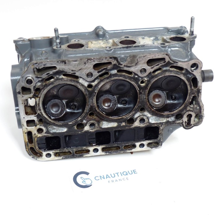 BF25 DELLA TESTATA 25 CV 4T HONDA ZV7