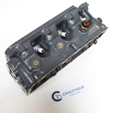 BF25 DELLA TESTATA 25 CV 4T HONDA ZV7