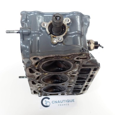 BF25 DELLA TESTATA 25 CV 4T HONDA ZV7