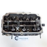 BF25 DELLA TESTATA 25 CV 4T HONDA ZV7