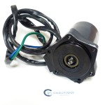 F50AET MOTORE TRIM 50 CV 4T YAMAHA 62Y 69W