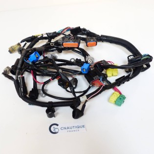 75 - 100 CV 4T CABBLAGGIO YAMAHA MERCURY MARINER 6D7 6D8