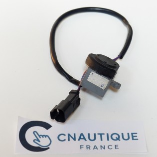 CICALINO JOHNSON EVINRUDE 176360