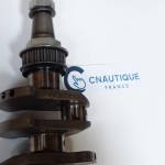 F50 F70 VILEBREQUIN 50 - 70 CV 4T YAMAHA 6C5-11411-10