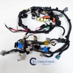 F50 F60 FAISCEAU ELECTRIQUE 50 - 60 CV 4T YAMAHA SELVA 6C5