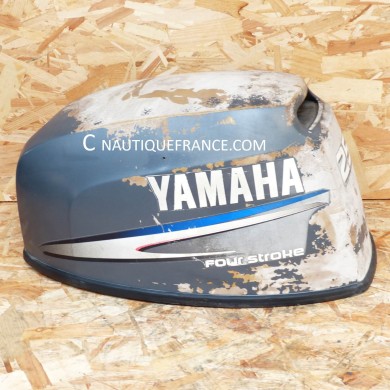 CALANDRA USATO 25 CV 4T 65W YAMAHA F25A