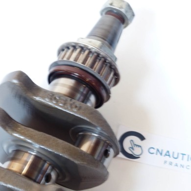 F50 F70 VILEBREQUIN 50 - 70 CV 4T YAMAHA 6C5-11411-10