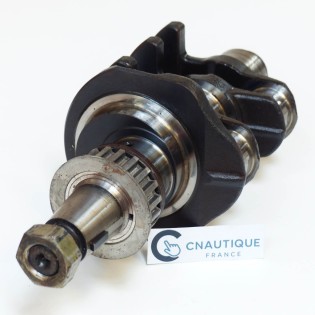 VILEBREQUIN 25 CV 4T YAMAHA 65W F25
